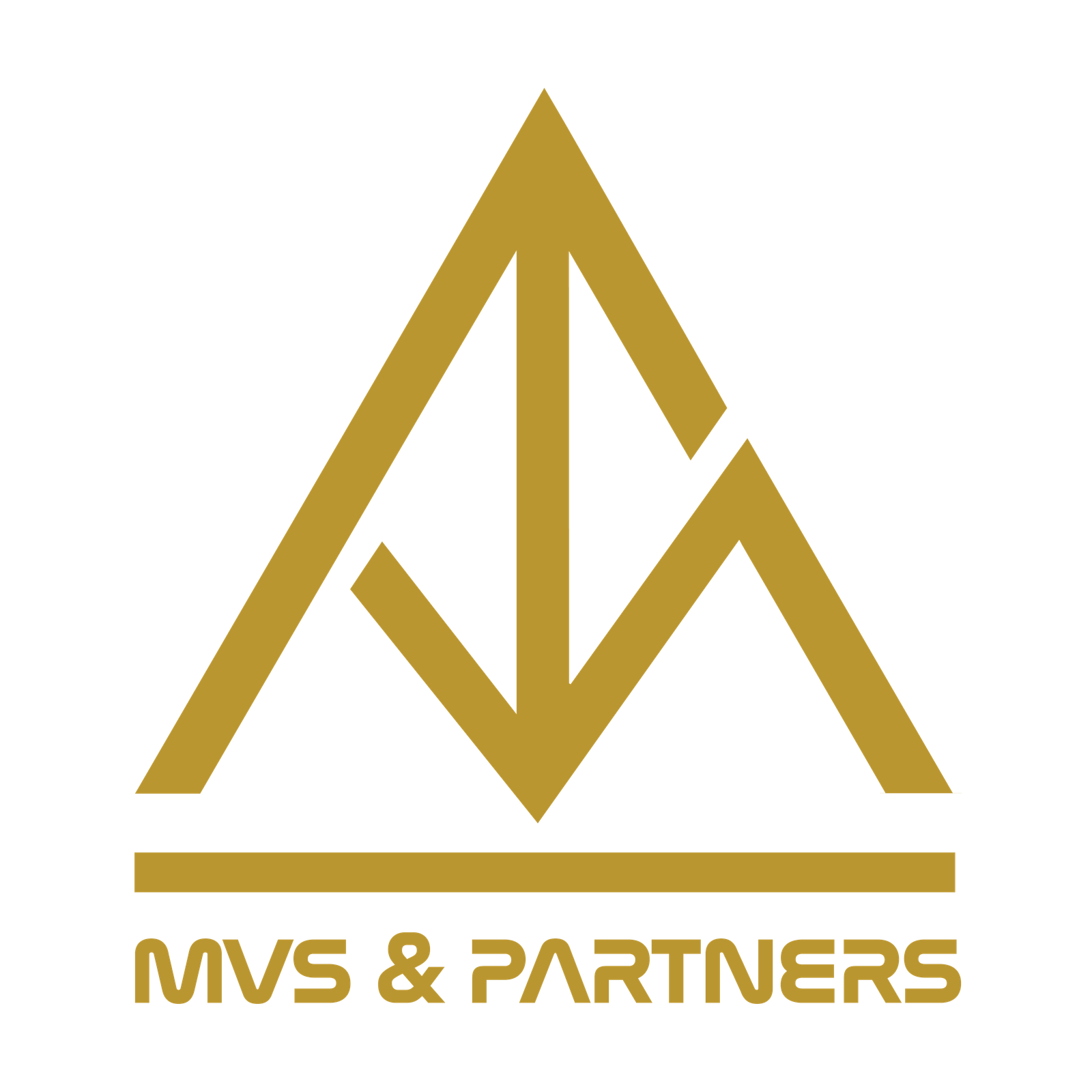 MVS Logo